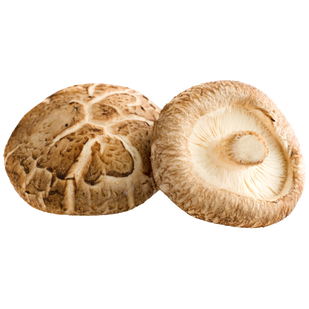 Shiitake → Cellular Protection