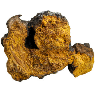 Chaga → Strong Defenses