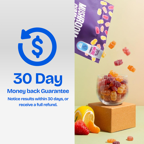 Healance™ - Mind & Body Boost Mushroom Gummies