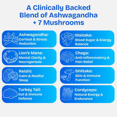 Healance™ - Mind & Body Boost Mushroom Gummies